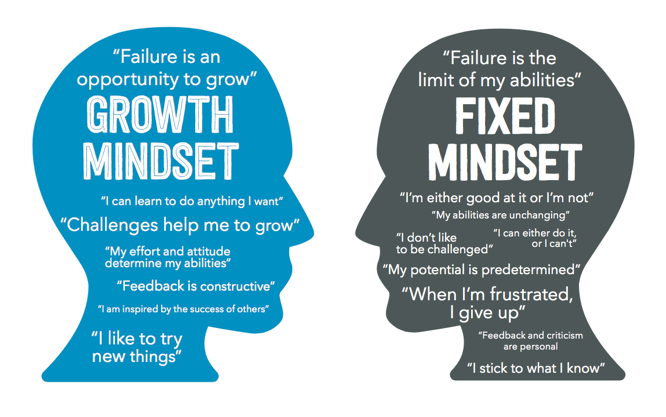 The Fixed Mindset and its Ability to Impact Life and Learning