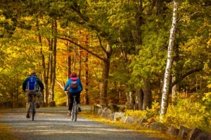 Cycling in fall